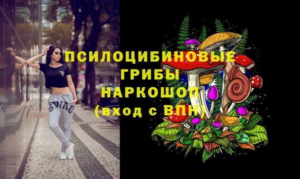spice Алексин