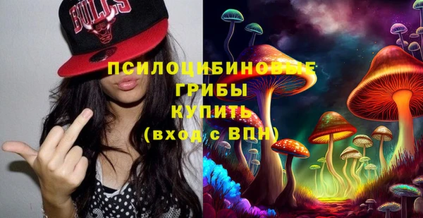 spice Алексин