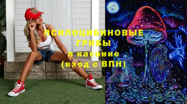spice Алексин